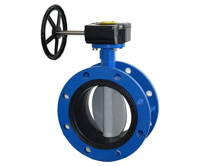 Concentric Soft Seal Butterfly Valve