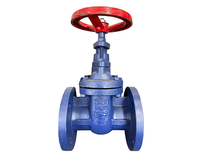 Resilient Seated Gate Valve (Rising Stem)