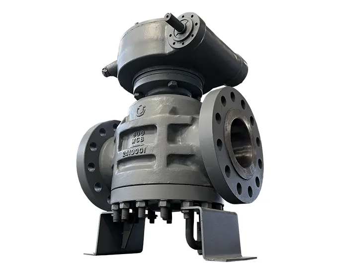 Plug Valve