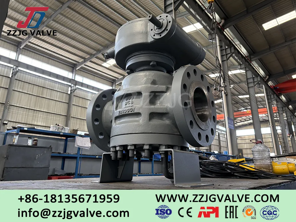 Top 10 Global Plug Valve Brands! Do You Know These Brands?