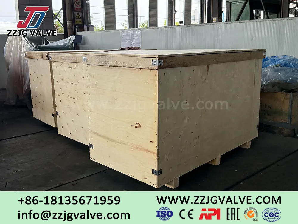 ZZJG blind valves exported to Southeast Asian countries