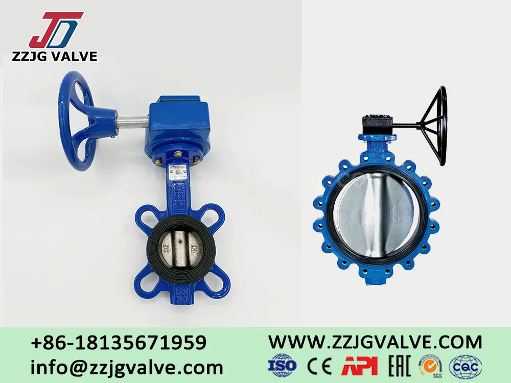 Lug Type VS Wafer Type Butterfly Valve with gearbox
