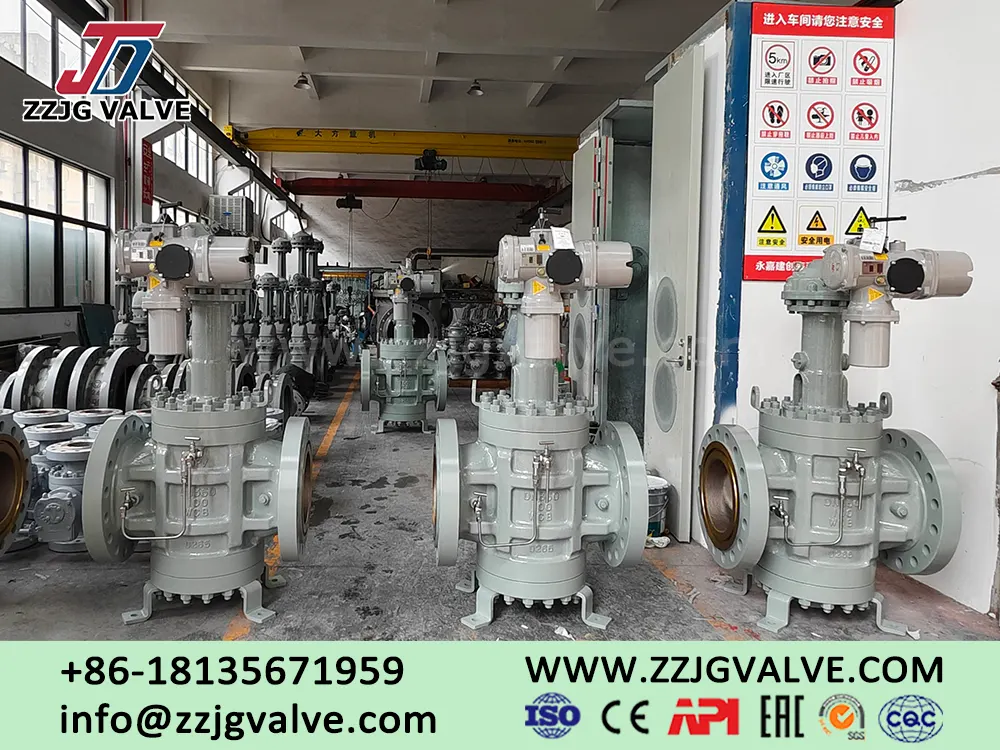 Double Block & Bleed Plug Valve