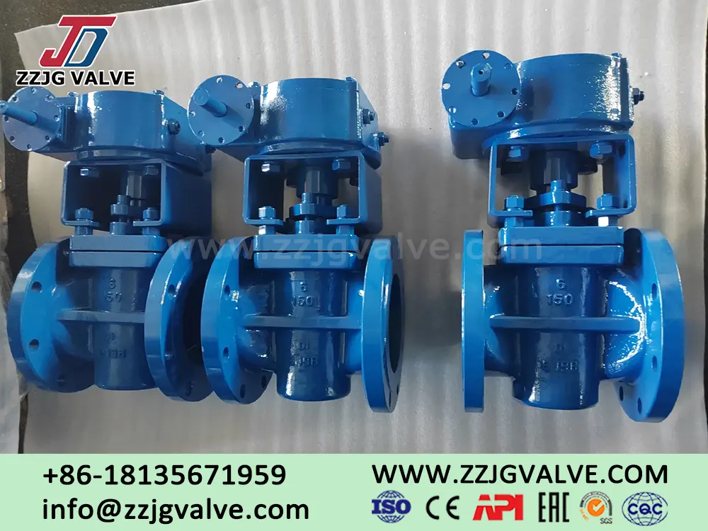 Eccentric Plug Valve Manufactured By ZZJG VALVE