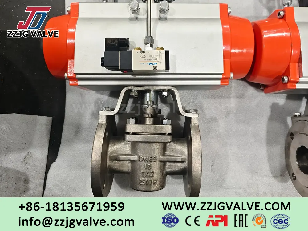 TA2 / Gr.2 titaniumPlug Valve Supplier