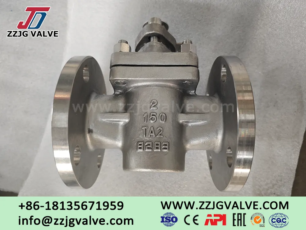 TA2 / Gr.2 titaniumPlug Valve Supplier