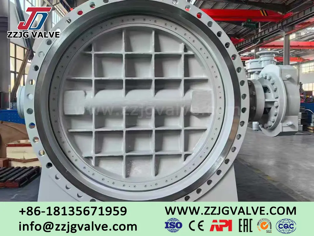 Butterfly valve seals: structure, material selection