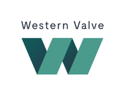 Western dbb plug valve