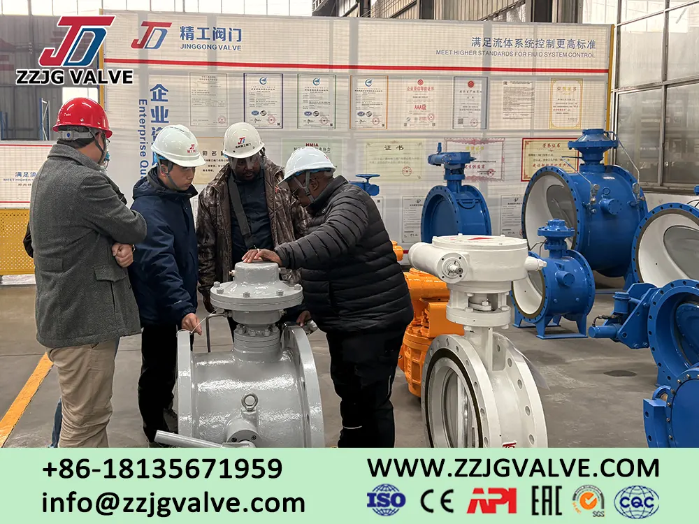 South African Valve Clients Visit ZZJG VALVE Factory