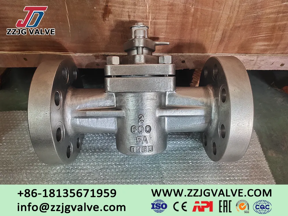 Cryogenic Plug Valve Selection In LNG Receiving Terminals