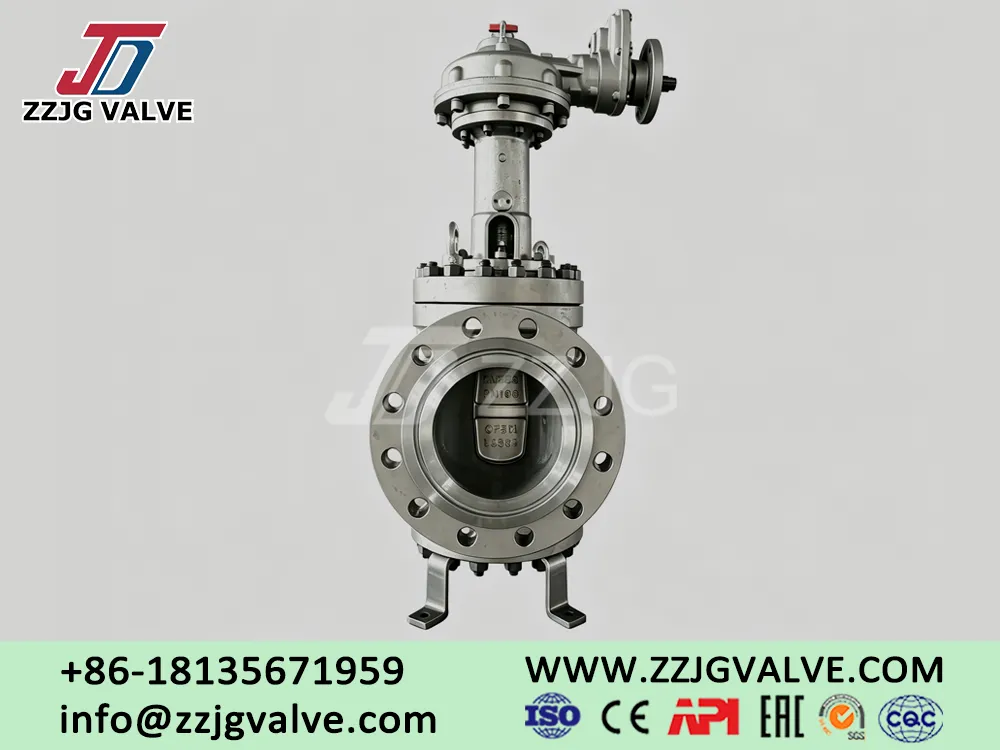Application Case – CF8M DN250 PN100 DBB Plug Valve In The Chemical System